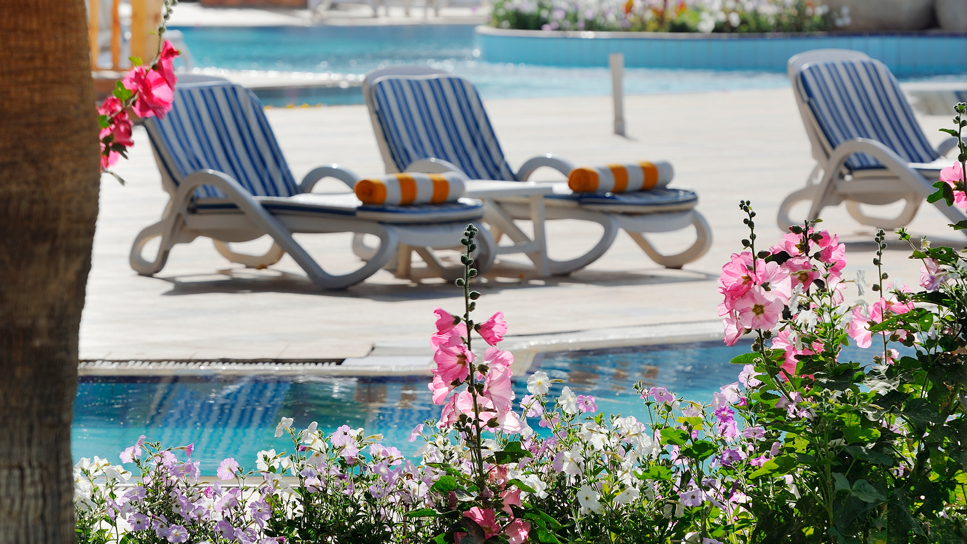 Naama Bay Promenade Beach - Billede 4