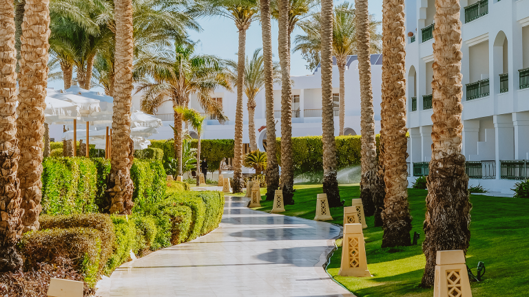 Baron Palms Resort - Miniature 8