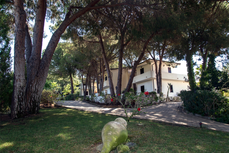 Villaggio Pineta Petto Bianco - Miniature 5