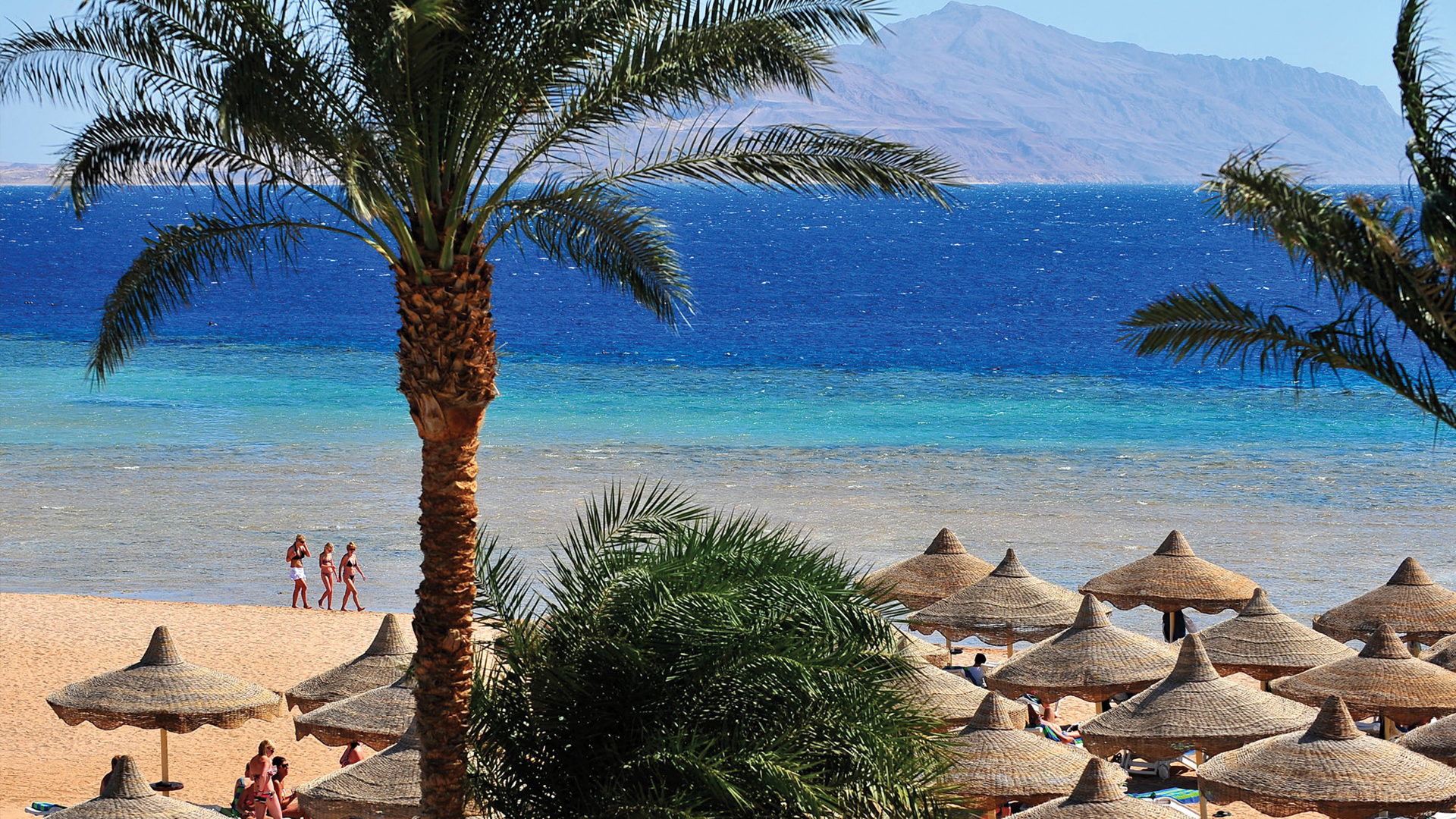 Baron Palms Resort - Billede 6